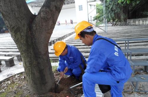 长沙白蚁防治